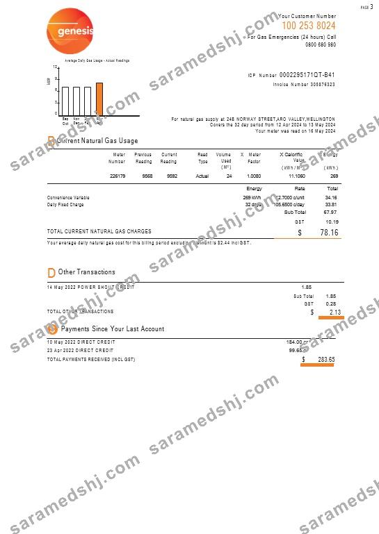 New Zealand Genesis Gas utility bill 3 pages